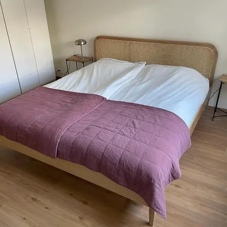 New Spacious Renovated In סאס פה
